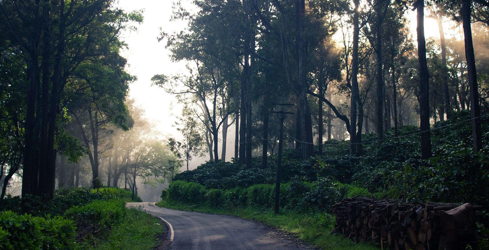 Wayanad